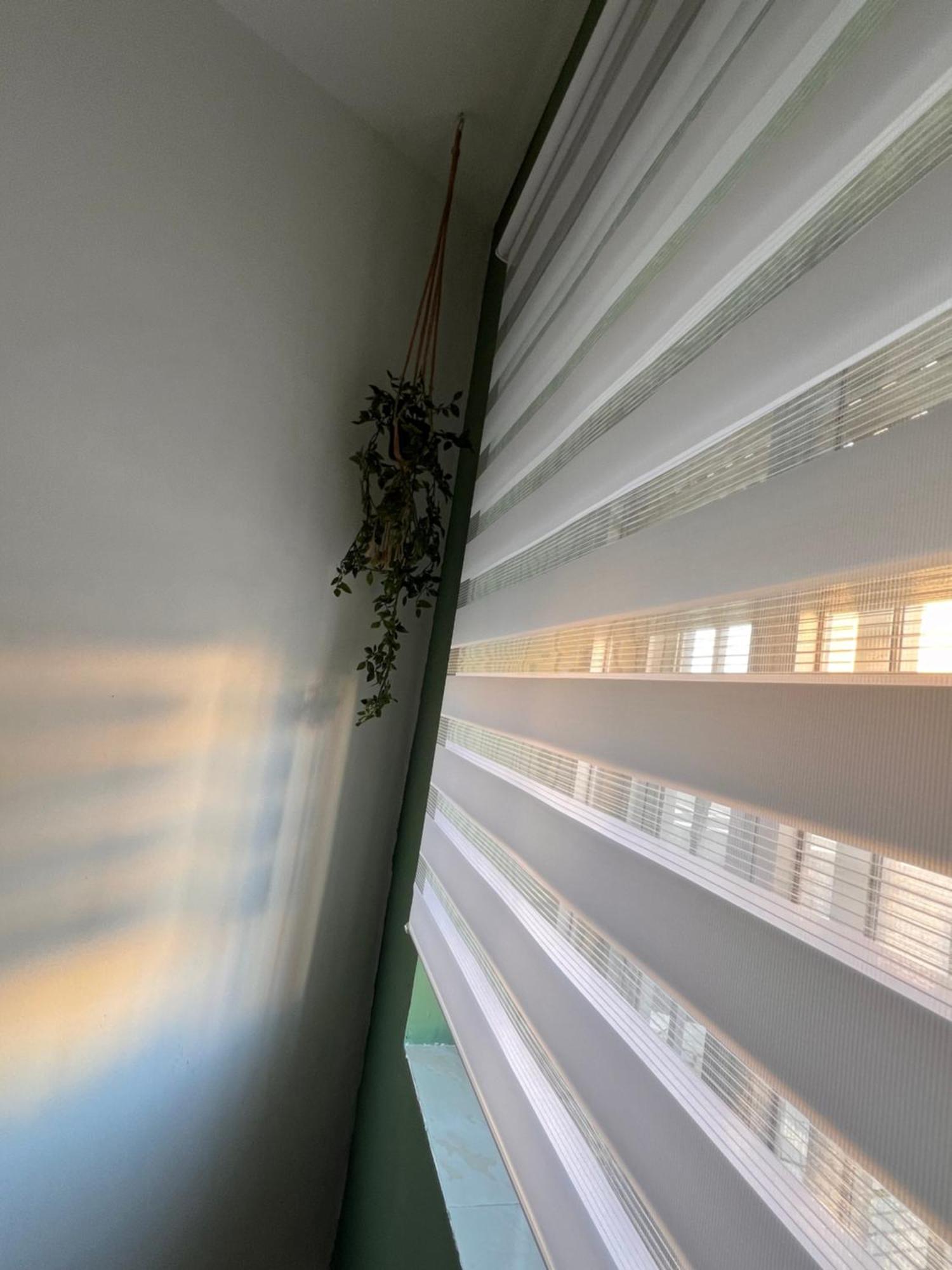Appartement Zamora Enamora Extérieur photo
